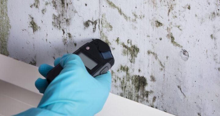 How to Choose the Right Mold Testing Method for Your Property